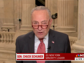 Senate Minority Leader Chuck Schumer calls Republicans 'bastards,' quickly apologizes