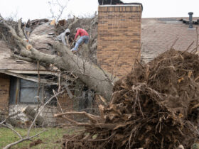 Severe Weather System Brings High Winds and Tornado Threat to the East Coast