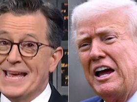 Stephen Colbert Gives Trump Royal Reality Check