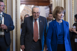 The Right Path for Senate Democrats Is Not Clear-Cut