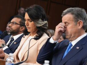 Top Democrat calls for Hegseth and Waltz to resign and shreds Gabbard over Signal war talk leak