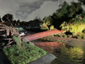 Tornado Reported in Los Angeles Area as Storm Batters California