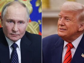 Trump-Putin phone call about ending Ukraine war is underway: White House