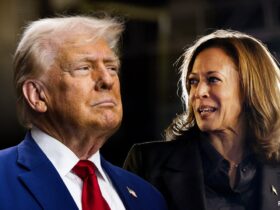 Trump gives Harris advise on potential CA governor run