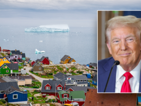 Trump remains optimistic about odds of acquiring Greenland: 'I think it'll happen'