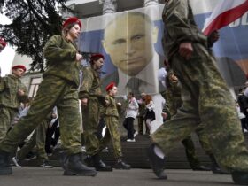 Trump seeks to keep Ukraine deal momentum going with 'very good' Zelenskyy call