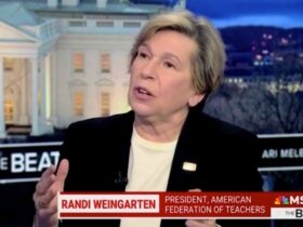 Weingarten tells MSNBC she's 'spitting mad' over attacks on education department