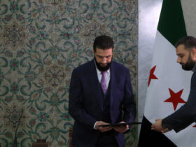 What Syria’s New Temporary Constitution Says