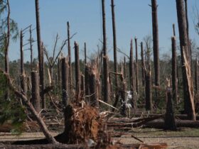 What to know about ferocious storms moving east after spawning damaging tornadoes in several states