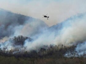 Wildfires in North and South Carolina fueled by drought, wind and fallen trees from Hurricane Helene