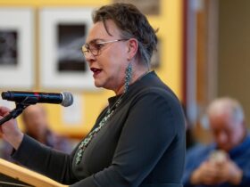 Wyoming Rep. Harriet Hageman grilled at town hall about DOGE: 'Where is this fraud?'