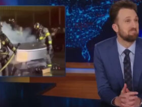 ‘Daily Show’ Audience Loudly Cheer on Violent Attacks on Tesla — Disturbed Host Admits They ‘Like Domestic Terrorism’ (VIDEO) | The Gateway Pundit
