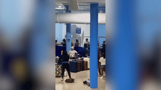 Carnival Cruise Line bans dozens after massive brawl breaks out at Texas port