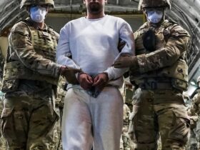 DOJ giving migrants 'no less than 12 hours' to indicate they intend to contest AEA removal