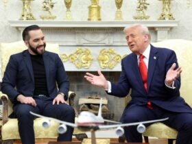 Even El Salvador’s president questioned Trump team on if migrants being sent were actually gang members: report