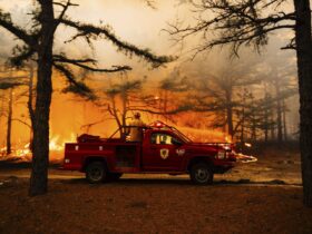 Forecasters warn of fire risk amid low humidity, wind gusts as Pine Barrens fire burns