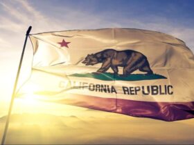 Former Fox News host Hilton enters California governor race