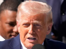 How Americans describe Trump's term so far in 1 word: POLL