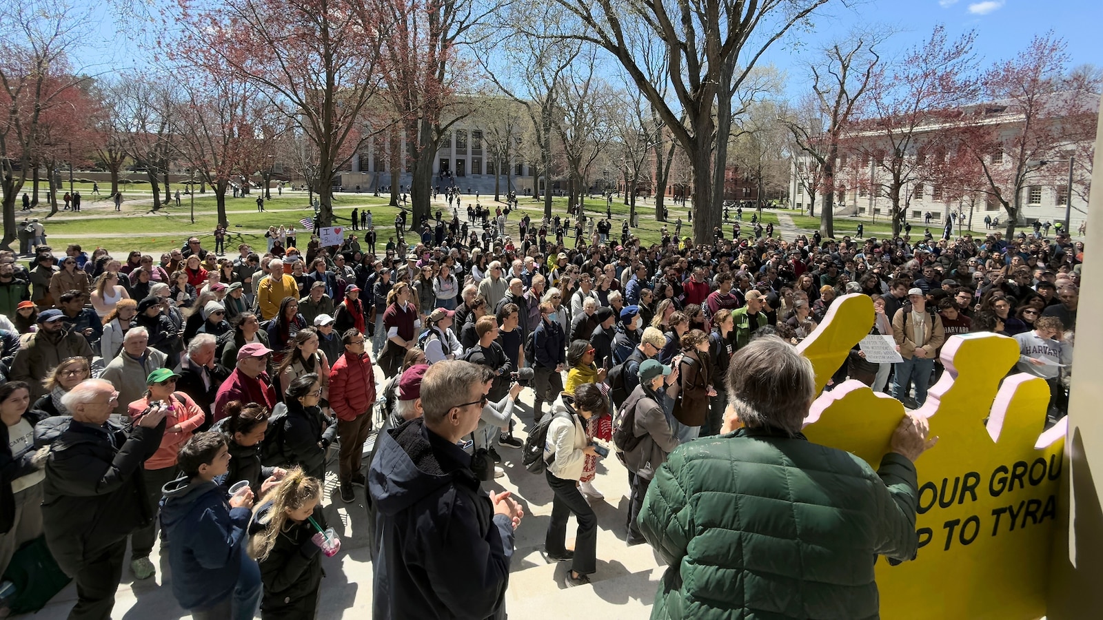 IRS decision on Harvard's tax-exempt status could come in days: Sources