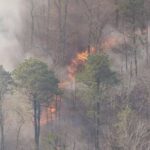 Man charged with arson after authorities say he sparked New Jersey Pine Barrens fire