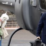 Tom Cruise, Ana de Armas continue to fuel romance rumors