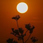 Trump administration dismisses scientists working on National Climate Assessment