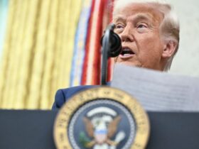 Trump removes civil service protections with Schedule F plan : NPR