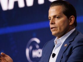 Trump trade policy 'nonsensical': Scaramucci
