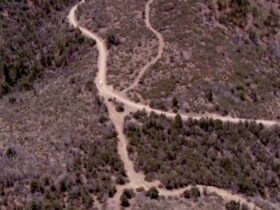 2 teens found dead in remote area of Arizona, officials investigating as possible homicide