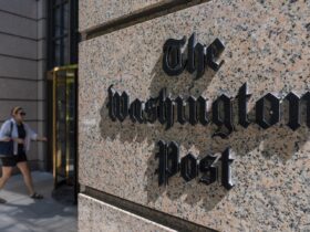 Ann Telnaes, who quit Washington Post in protest, wins Pulitzer for 'fearlessness' in commentary