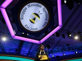 Are you smarter than a 13-year-old? Take our Scripps Spelling Bee test and find out : NPR