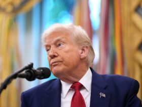 Biographer claims it’s Trump who didn’t get into Harvard