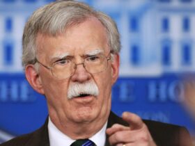Bolton on Trump after Waltz exit: ‘Chaos is embedded in his DNA’