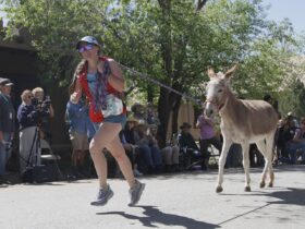 Burro racing wins over runners in backcountry ode to mining history
