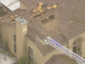 California homes catch fire after small plane crashes in neighborhood