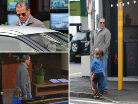 Caught on camera: Hunter Biden in South Africa after Secret Service shield ends