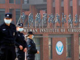 China blames US for COVID origin