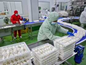 China's factory activity contracts in May, but there are signs of improvement