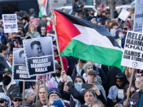 Conservative legal experts slam judge's ruling on anti-Israel activist