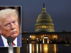 Dems stoke fears of Medicaid cuts as budget battle heats up, experts say