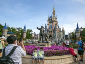 Disney will build its seventh theme park in Abu Dhabi; company adds 1.4M new streaming subscribers