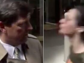 Dropped Trump Nominee Spat At During Live TV Interview