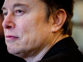Elon Musk Tears Into WSJ Report Questioning His Future As Tesla CEO