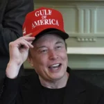 Elon Musk admits DOGE 'not as effective as I like'