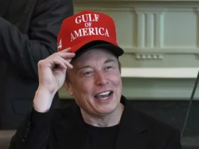 Elon Musk admits DOGE 'not as effective as I like'