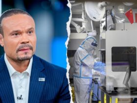 FBI examining COVID-19 origin 'cover-up' amid new strain emergence: Bongino