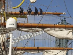 Federal officials launch investigation into Mexican tall ship that struck Brooklyn Bridge