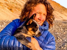 Flea-ridden puppy becomes world traveler with adventurer who had feared dogs all her life