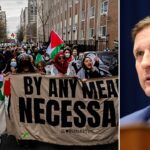 House Dem concerned party is making 'martyrs' of antisemitic activists