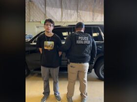 Illegal immigrant with weapons conviction arrested in California